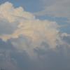 Picture 008
