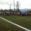DSC09206
