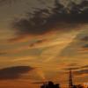DSC04320