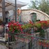 DSC02196