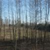 DSC00197