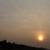 DSC01151