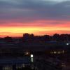 DSC02315